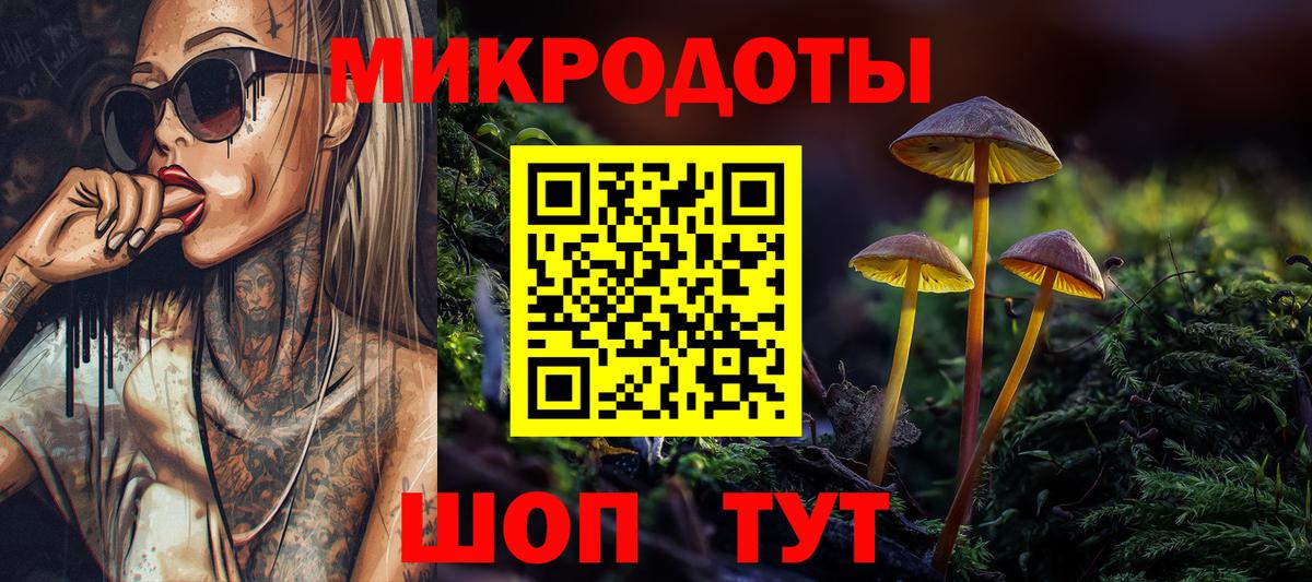 Чернушка  Псилоцибиновые грибы Magic Shrooms  Вход с VPN  Псилоцибиновые грибы мицелий 